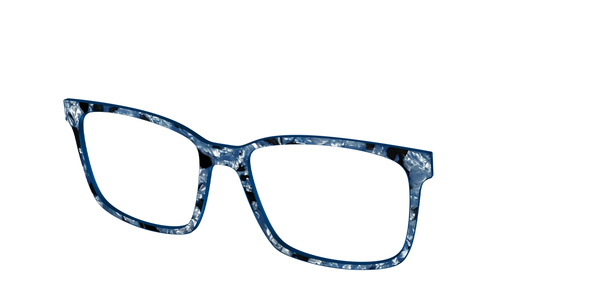 The Midnight Blue Pearl Tortoise