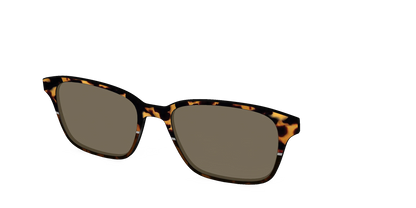 The Polarized Chic Tortoise Split Sun Top
