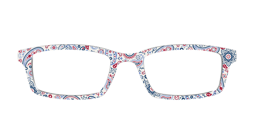The Picnic Paisley