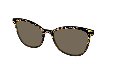 The Polarized Caramel Tortoise Horn Split Sun Top