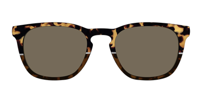 The Polarized Chic Tortoise Split Sun Top