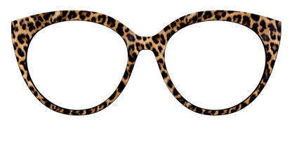 The Cheetah Spots