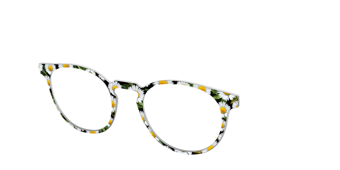 The Delicate Daisies