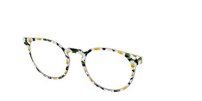The Delicate Daisies