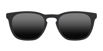 The Polarized Black Sun Top