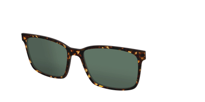 The Non-Polarized Green Tortoise Sun Top