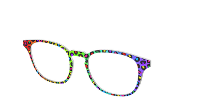 The Rainbow Cheetah
