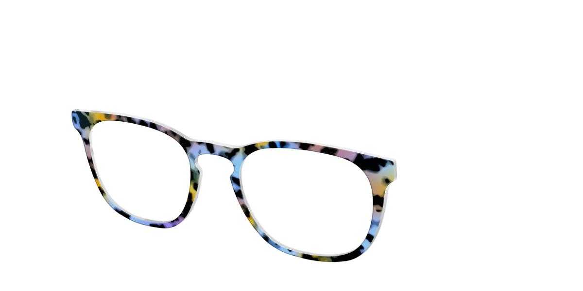 The Positano Tortoise