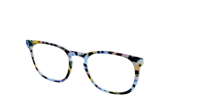 The Positano Tortoise