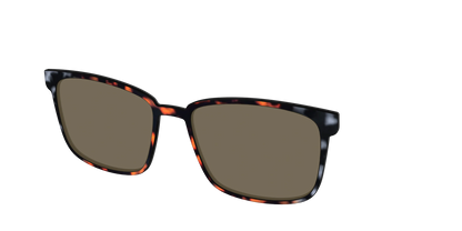 The Polarized Gray & Amber Tortoise Sun Top