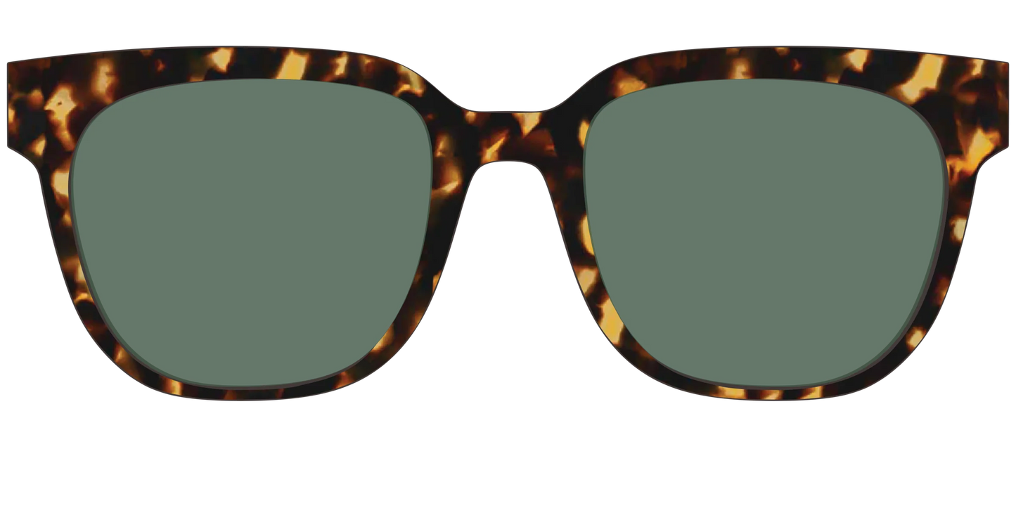 The Non-Polarized Green Tortoise Sun Top