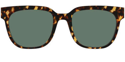 The Non-Polarized Green Tortoise Sun Top