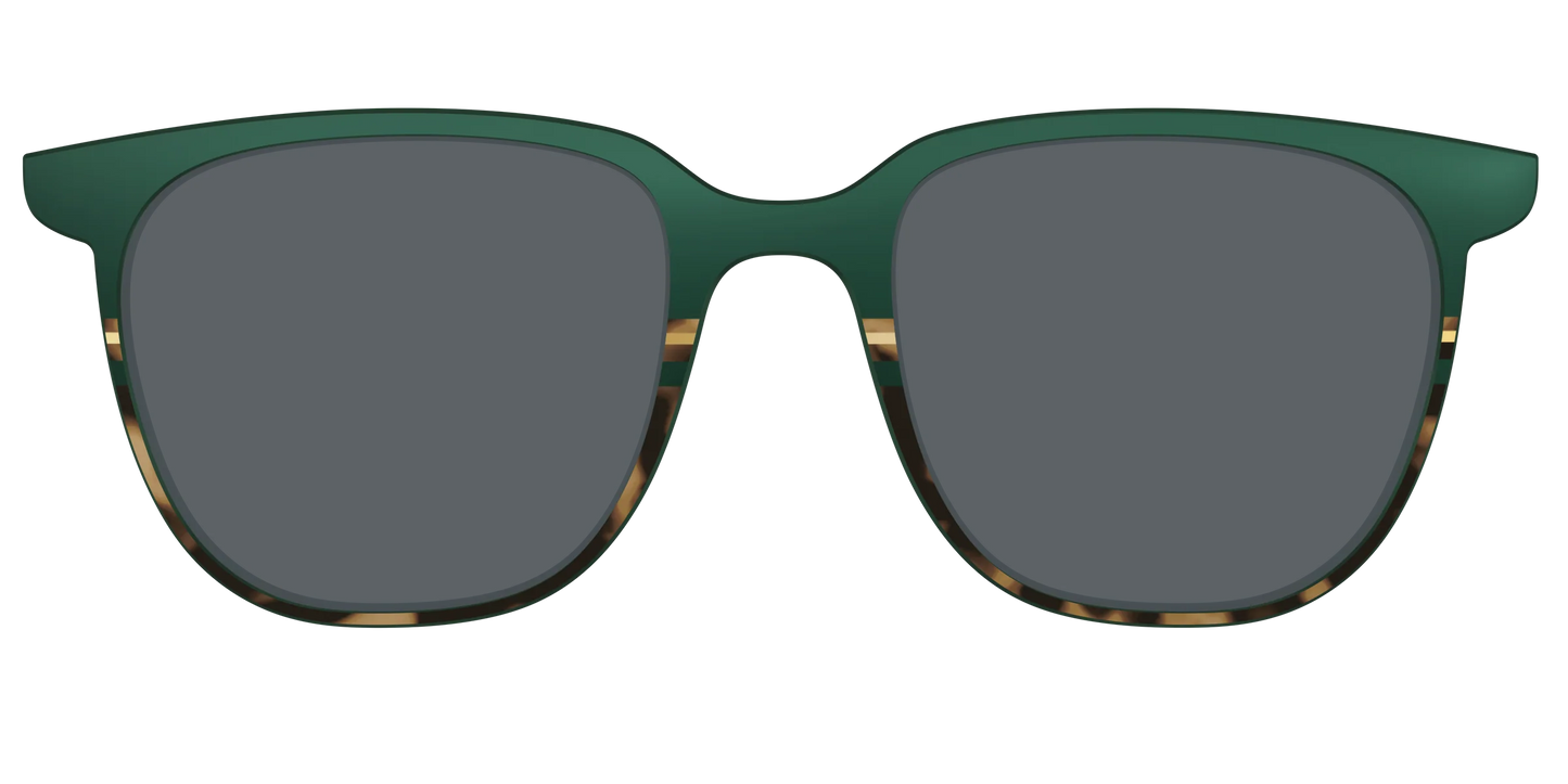 The Polarized Spruce Tortoise Sun Top