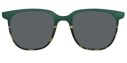 The Polarized Spruce Tortoise Sun Top