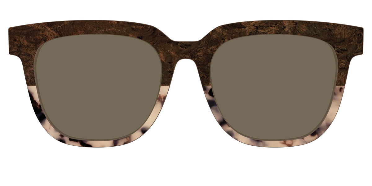 The Polarized Dark Oak Tortoise Split Sun Top
