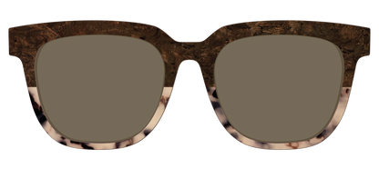 The Polarized Dark Oak Tortoise Split Sun Top