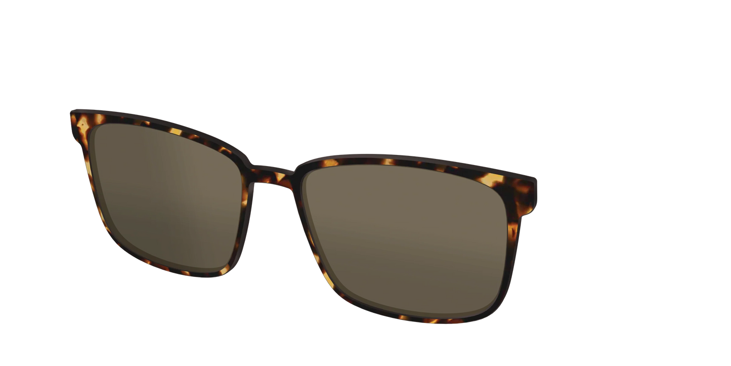The Non-Polarized Tortoise Sun Top