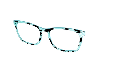The Robin's Egg Pearl Tortoise