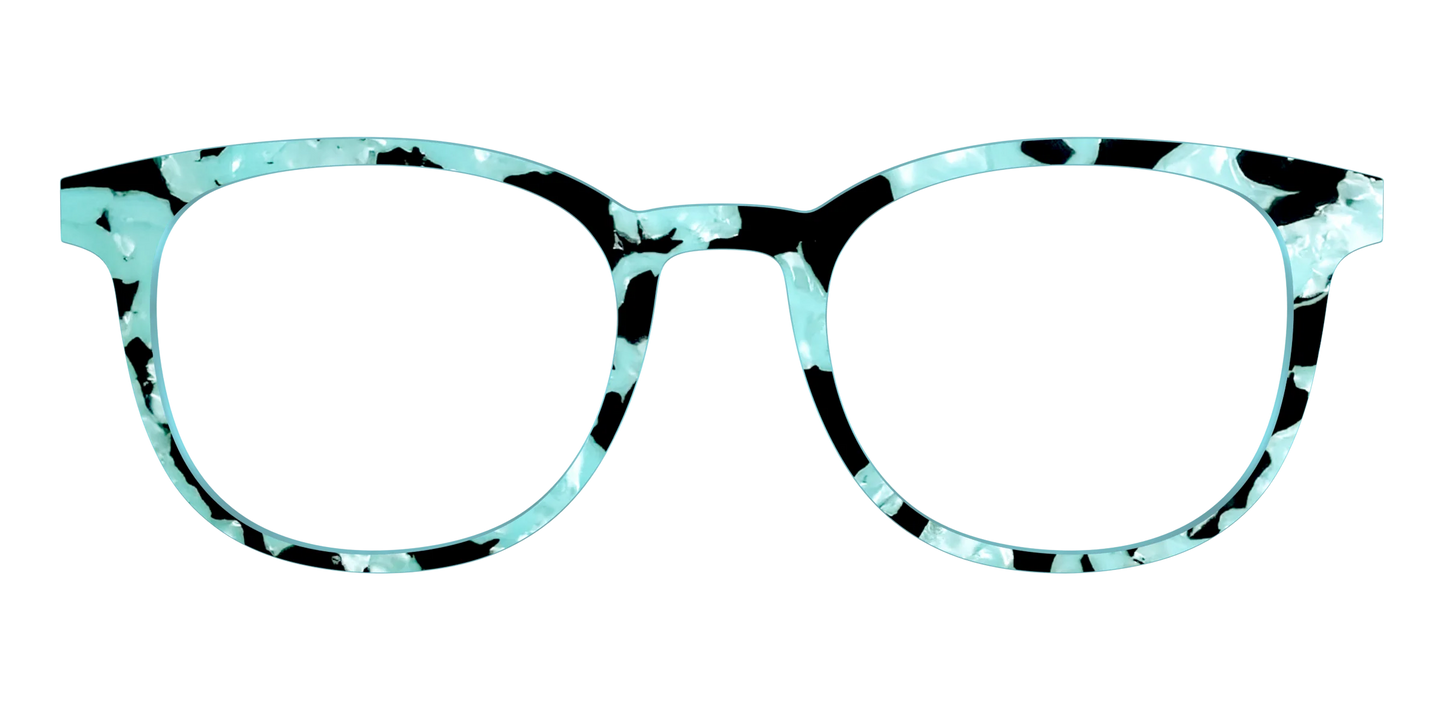 The Robin's Egg Pearl Tortoise