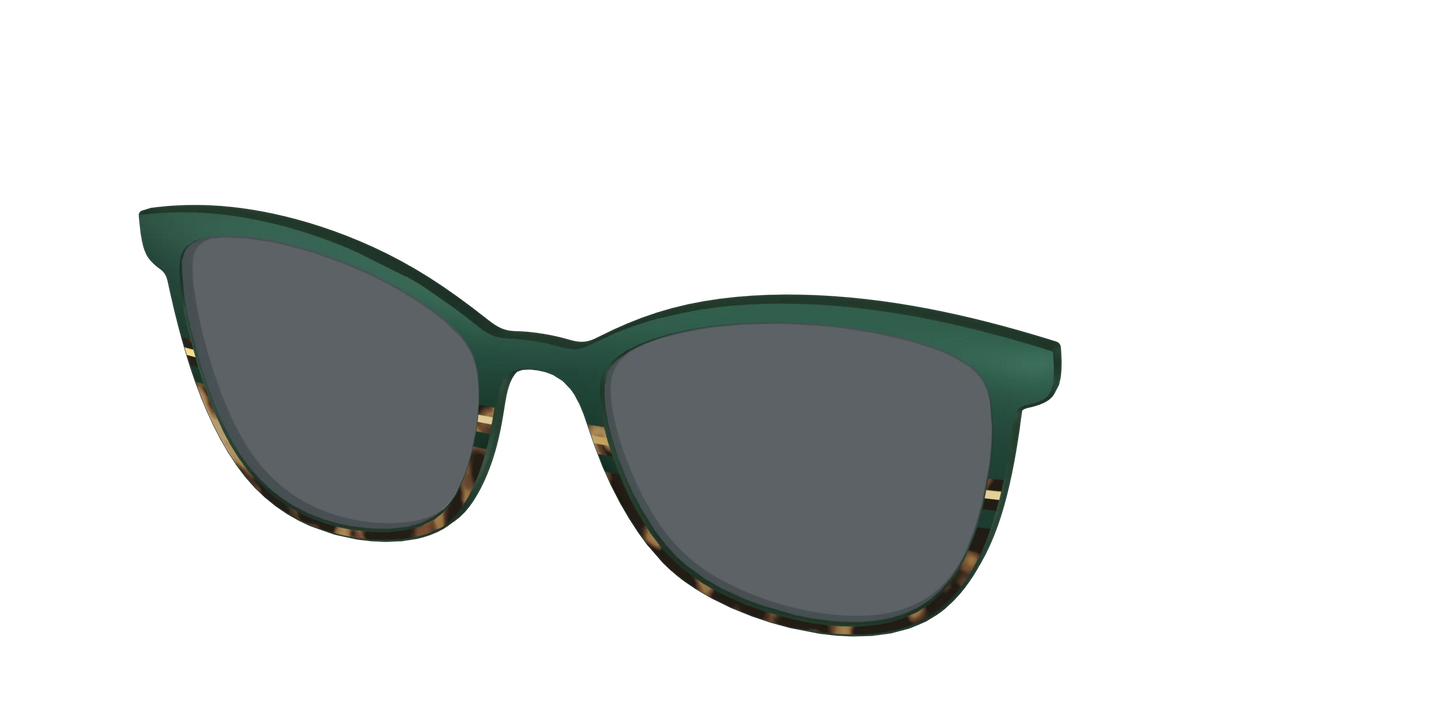 The Polarized Spruce Tortoise Sun Top