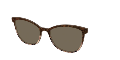 The Polarized Dark Oak Tortoise Split Sun Top