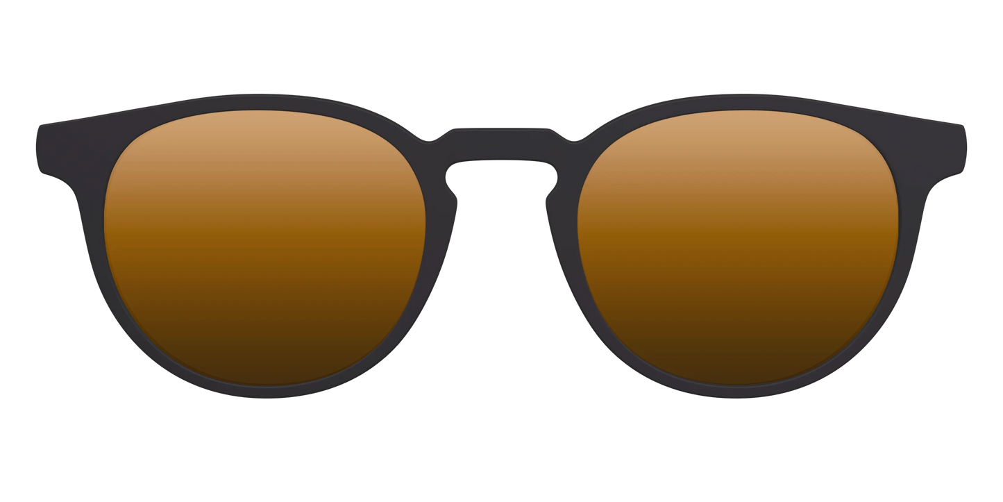 The Polarized Gold Reflective Sun Top