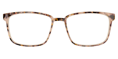 The Almond Tortoise with Gold Streaks