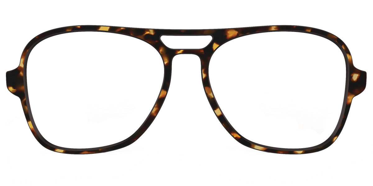 The Tortoise