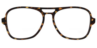 The Tortoise
