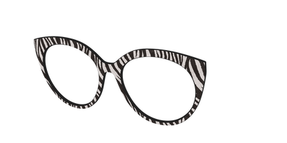 The Zebra Stripes