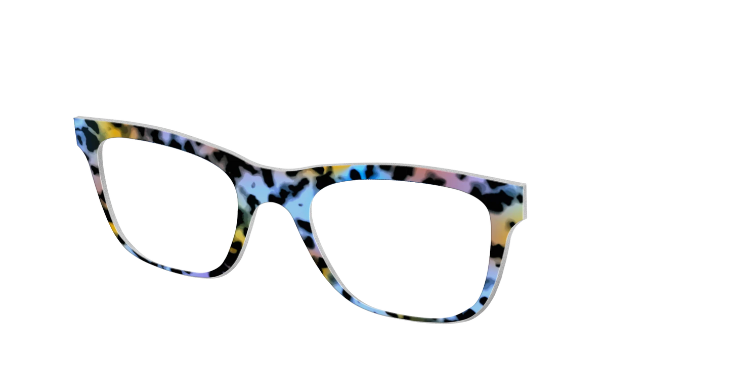 The Positano Tortoise