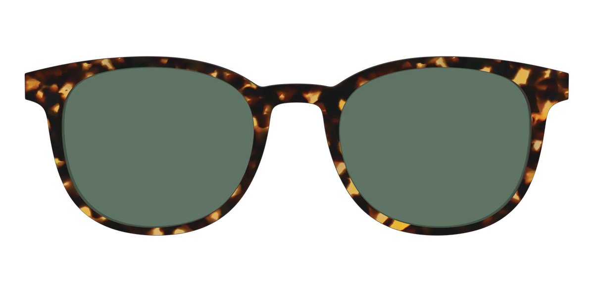 The Non-Polarized Green Tortoise Sun Top