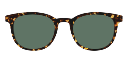 The Non-Polarized Green Tortoise Sun Top