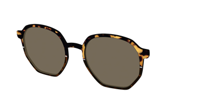 The Polarized Chic Tortoise Split Sun Top