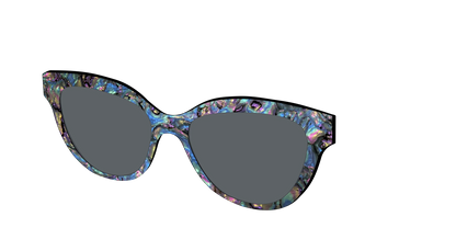 The Polarized Midnight Abalone Sun Top