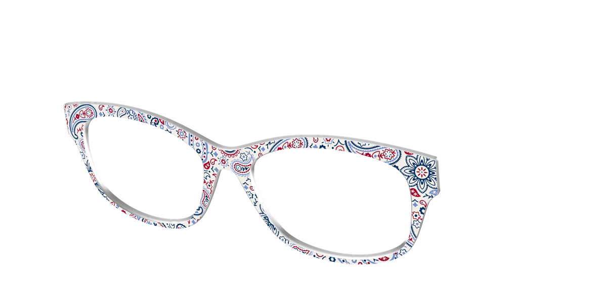 The Picnic Paisley