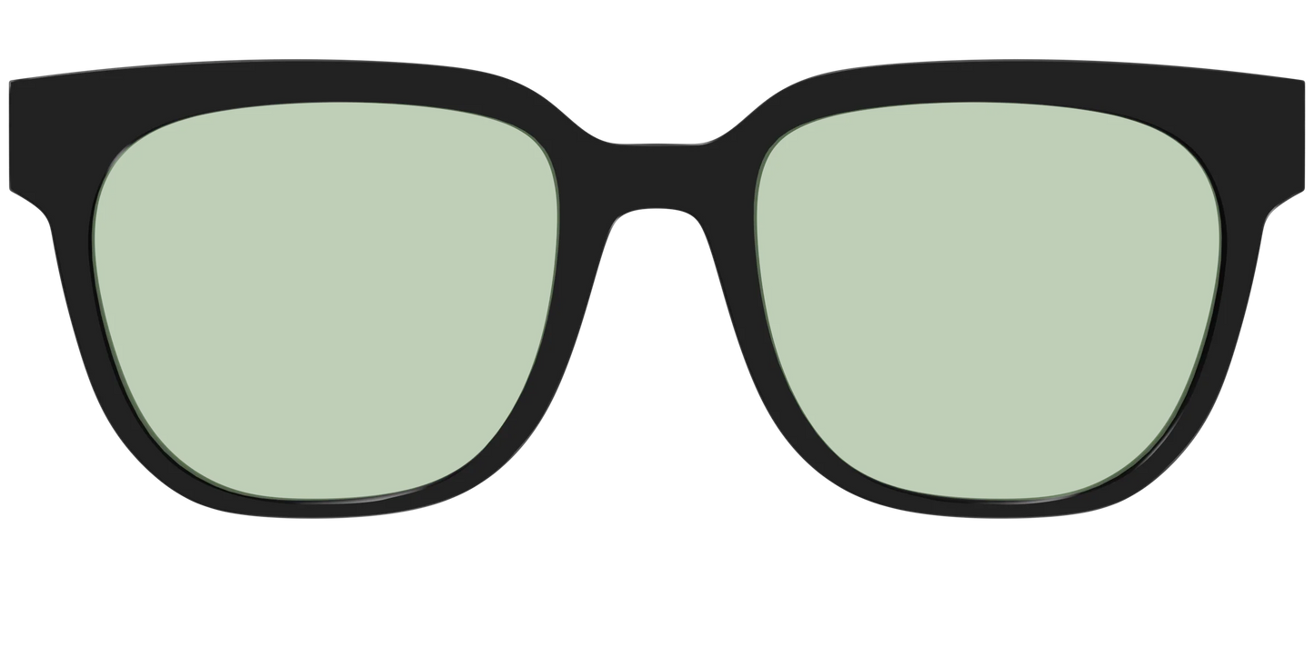 The Black With Sage Green Lens