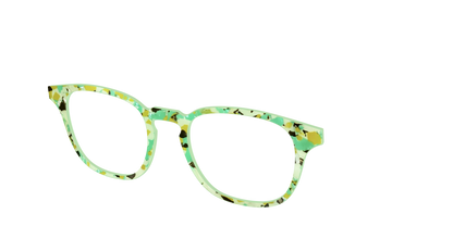 The Matcha Pearl Tortoise