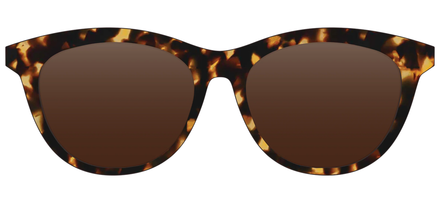 The Polarized Tortoise Sun Top