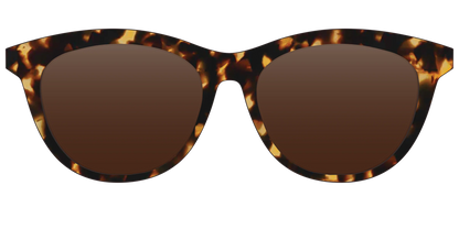 The Polarized Tortoise Sun Top