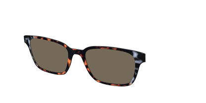 The Polarized Gray & Amber Tortoise Sun Top