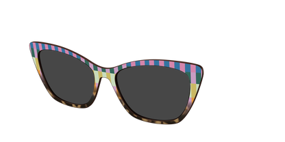 The Polarized Summer Stripes Tortoise Sun Top