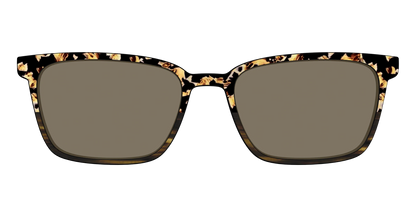 The Polarized Caramel Tortoise Horn Split Sun Top