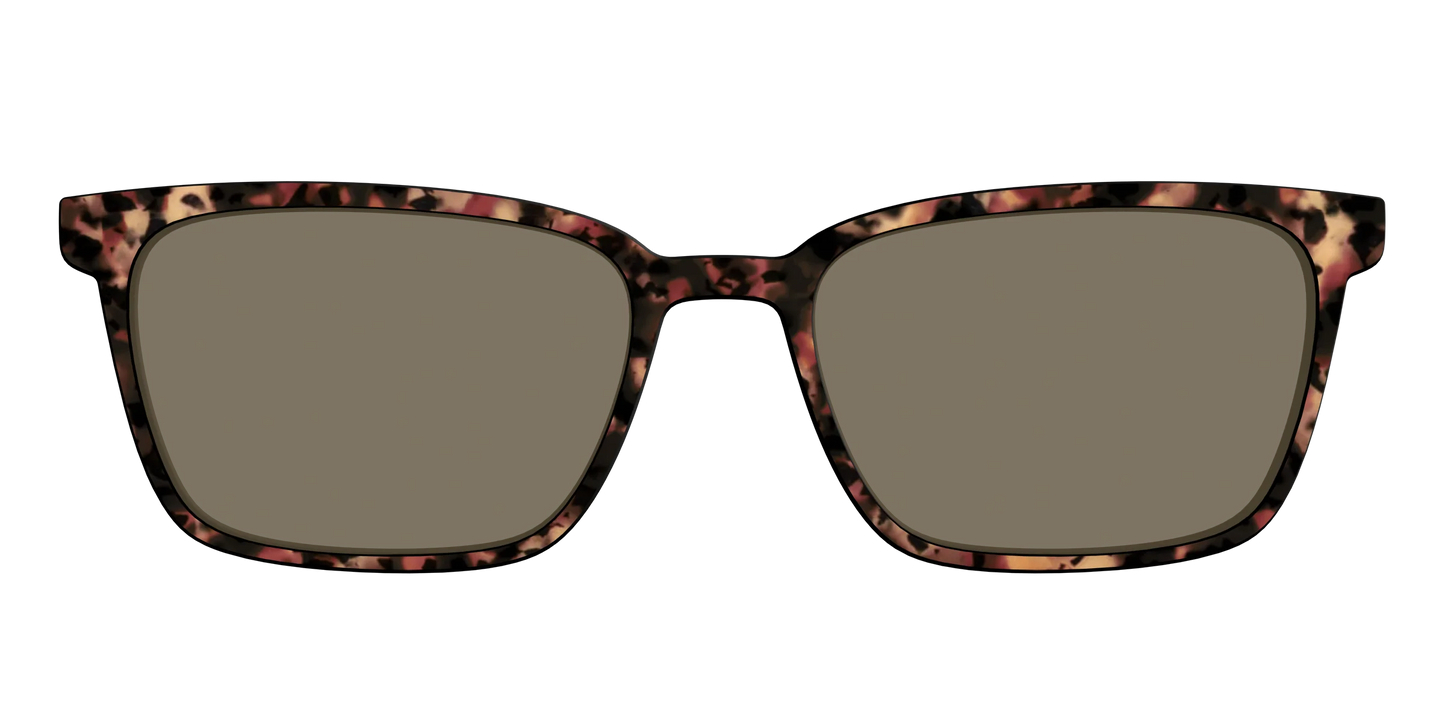 The Polarized Sienna Tortoise Sun Top