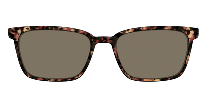 The Polarized Sienna Tortoise Sun Top