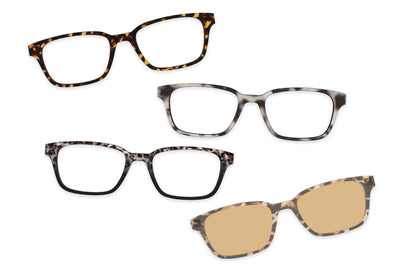 The Everyday Tort Set
