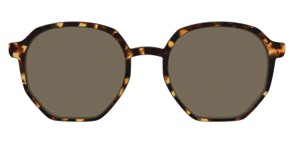 The Non-Polarized Tortoise Sun Top