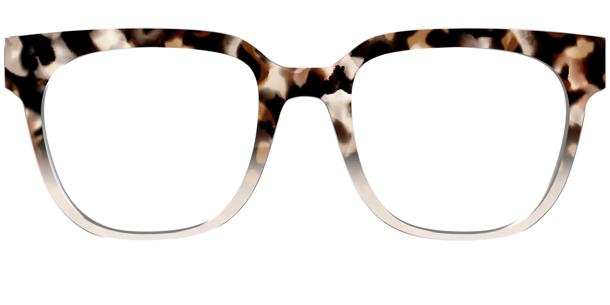 The Vanilla Latte Tortoise