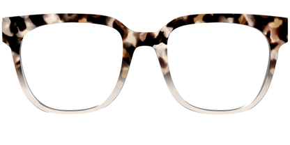 The Vanilla Latte Tortoise