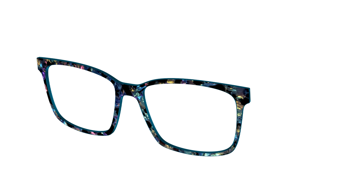 The Black Prismatic Pearl Tortoise
